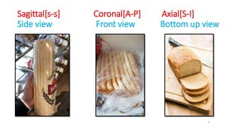 Sagittal[s-s] Coronal[A-P] Axial[S-I]
Side view Front view Bottom up view
8
 