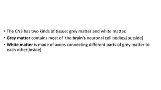 • The CNS has two kinds of tissue: grey matter and white matter.
• Grey matter contains most of the brain's neuronal cell bodies.[outside]
• White matter is made of axons connecting different parts of grey matter to
each other[inside]
 