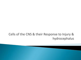 Cells of the CNS & their Response to Injury &
hydrocephalus
 