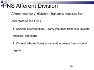 •PNS Afferent Division
• Afferent (sensory) division – transmits impulses from
receptors to the CNS.
1. Somatic afferent fibers – carry impulses from skin, skeletal
muscles, and joints
2. Visceral afferent fibers – transmit impulses from visceral
organs
108
 