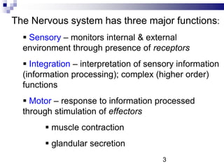 The Nervous system has three major functions:
 Sensory – monitors internal & external
environment through presence of receptors
 Integration – interpretation of sensory information
(information processing); complex (higher order)
functions
 Motor – response to information processed
through stimulation of effectors
 muscle contraction
 glandular secretion
3
 