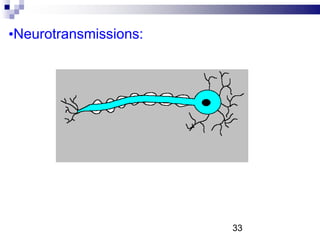 •Neurotransmissions:
33
 