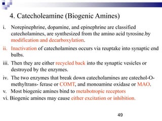 4. Catecholeamine (Biogenic Amines)
i. Norepinephrine, dopamine, and epinephrine are classified
catecholamines, are synthesized from the amino acid tyrosine.by
modification and decarboxylation.
ii. Inactivation of catecholamines occurs via reuptake into synaptic end
bulbs.
iii. Then they are either recycled back into the synaptic vesicles or
destroyed by the enzymes.
iv. The two enzymes that break down catecholamines are catechol-O-
methyltrans- ferase or COMT, and monoamine oxidase or MAO.
v. Most biogenic amines bind to metabotropic receptors
vi. Biogenic amines may cause either excitation or inhibition.
49
 