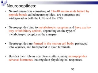 Neuropeptides:
• Neurotransmitters consisting of 3 to 40 amino acids linked by
peptide bonds called neuropeptides , are numerous and
widespread in both the CNS and the PNS.
• Neuropeptides bind to metabotropic receptors and have excita-
tory or inhibitory actions, depending on the type of
metabotropic receptor at the synapse.
• Neuropeptides are formed in the neuron cell body, packaged
into vesicles, and transported to axon terminals.
• Besides their role as neurotransmitters, many neuropeptides
serve as hormones that regulate physiological responses.
53
 