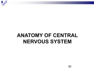ANATOMY OF CENTRAL
NERVOUS SYSTEM
55
 