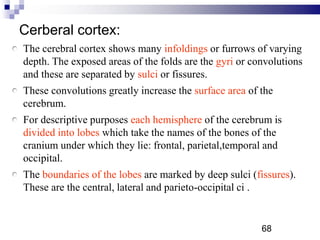 Cerberal cortex:
The cerebral cortex shows many infoldings or furrows of varying
depth. The exposed areas of the folds are the gyri or convolutions
and these are separated by sulci or fissures.
These convolutions greatly increase the surface area of the
cerebrum.
For descriptive purposes each hemisphere of the cerebrum is
divided into lobes which take the names of the bones of the
cranium under which they lie: frontal, parietal,temporal and
occipital.
The boundaries of the lobes are marked by deep sulci (fissures).
These are the central, lateral and parieto-occipital ci .
68P
 