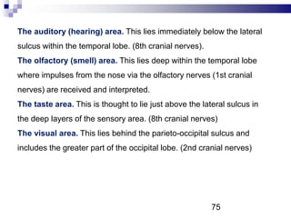The auditory (hearing) area. This lies immediately below the lateral
sulcus within the temporal lobe. (8th cranial nerves).
The olfactory (smell) area. This lies deep within the temporal lobe
where impulses from the nose via the olfactory nerves (1st cranial
nerves) are received and interpreted.
The taste area. This is thought to lie just above the lateral sulcus in
the deep layers of the sensory area. (8th cranial nerves)
The visual area. This lies behind the parieto-occipital sulcus and
includes the greater part of the occipital lobe. (2nd cranial nerves)
75
 