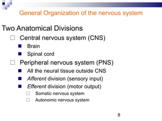 Two Anatomical Divisions
 Central nervous system (CNS)
 Brain
 Spinal cord
 Peripheral nervous system (PNS)
 All the neural tissue outside CNS
 Afferent division (sensory input)
 Efferent division (motor output)
 Somatic nervous system
 Autonomic nervous system
General Organization of the nervous system
8
 