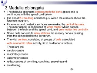 3.Medulla oblongata
The medulla oblongata extends from the pons above and is
continuous with the spinal cord below.
It is about 2.5 cm long and it lies just within the cranium above the
foramen magnum.
Its anterior and posterior surfaces are marked by central fissures.
The outer aspect is composed of white matter which passes
between the brain and the spinal cord, and grey matter lies centrally.
Some cells con-stitute relay stations for sensory nerves passing
from the spinal cord to the cerebrum.
The vital centres, consisting of groups of cells associated
with autonomic reflex activity, lie in its deeper structure.
These are the:
cardiac centre
respiratory centre
vasomotor centre
reflex centres of vomiting, coughing, sneezing and
swallowing.
84
 