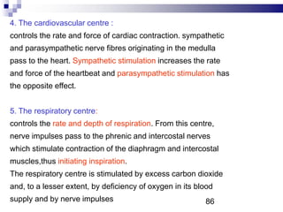 4. The cardiovascular centre :
controls the rate and force of cardiac contraction. sympathetic
and parasympathetic nerve fibres originating in the medulla
pass to the heart. Sympathetic stimulation increases the rate
and force of the heartbeat and parasympathetic stimulation has
the opposite effect.
5. The respiratory centre:
controls the rate and depth of respiration. From this centre,
nerve impulses pass to the phrenic and intercostal nerves
which stimulate contraction of the diaphragm and intercostal
muscles,thus initiating inspiration.
The respiratory centre is stimulated by excess carbon dioxide
and, to a lesser extent, by deficiency of oxygen in its blood
supply and by nerve impulses 86
 