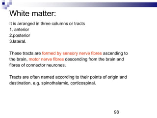 White matter:
It is arranged in three columns or tracts
1. anterior
2.posterior
3.lateral.
These tracts are formed by sensory nerve fibres ascending to
the brain, motor nerve fibres descending from the brain and
fibres of connector neurones.
Tracts are often named according to their points of origin and
destination, e.g. spinothalamic, corticospinal.
98
 