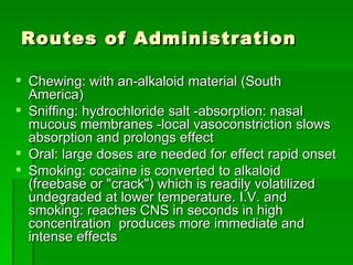 Routes of Administration Chewing: with an-alkaloid material (South America) Sniffing: hydrochloride salt -absorption: nasal mucous membranes -local vasoconstriction slows absorption and prolongs effect Oral: large doses are needed for effect rapid onset Smoking: cocaine is converted to alkaloid (freebase or "crack") which is readily volatilized undegraded at lower temperature. I.V. and smoking: reaches CNS in seconds in high concentration  produces more immediate and intense effects  