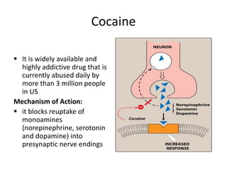Cocaine
 It is widely available and
highly addictive drug that is
currently abused daily by
more than 3 million people
in US
Mechanism of Action:
 it blocks reuptake of
monoamines
(norepinephrine, serotonin
and dopamine) into
presynaptic nerve endings
 