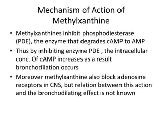 Mechanism of Action of
Methylxanthine
• Methylxanthines inhibit phosphodiesterase
(PDE), the enzyme that degrades cAMP to AMP
• Thus by inhibiting enzyme PDE , the intracellular
conc. Of cAMP increases as a result
bronchodilation occurs
• Moreover methylxanthine also block adenosine
receptors in CNS, but relation between this action
and the bronchodilating effect is not known
 