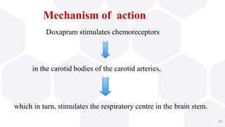 Mechanism of action
in the carotid bodies of the carotid arteries,
which in turn, stimulates the respiratory centre in the brain stem.
11
Doxapram stimulates chemoreceptors
 