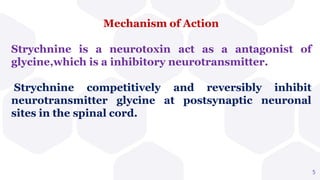 Mechanism of Action
5
Strychnine is a neurotoxin act as a antagonist of
glycine,which is a inhibitory neurotransmitter.
and reversibly inhibit
at postsynaptic neuronal
Strychnine competitively
neurotransmitter glycine
sites in the spinal cord.
 