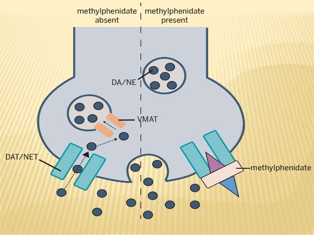 is gabapentin mood stabilizer