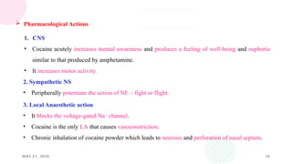 MAY 21, 2026 10
 Pharmacological Actions
1. CNS
• Cocaine acutely increases mental awareness and produces a feeling of well-being and euphoria
similar to that produced by amphetamine.
• It increases motor activity.
2. Sympathetic NS
• Peripherally potentiate the action of NE – fight or flight.
3. Local Anaesthetic action
• It blocks the voltage-gated Na+
channel.
• Cocaine is the only LA that causes vasoconstriction.
• Chronic inhalation of cocaine powder which leads to necrosis and perforation of nasal septum.
 
