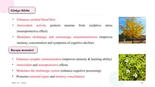 MAY 21, 2026 16
Ginkgo biloba
• Enhances cerebral blood flow
• Antioxidant activity protects neurons from oxidative stress
(neuroprotective effect)
• Modulates cholinergic and serotonergic neurotransmission (improves
memory, concentration and symptoms of cognitive decline)
Bacopa monnieri
• Enhances synaptic communication (improves memory & learning ability)
• Antioxidant and neuroprotective effects
• Modulates the cholinergic system (enhance cognitive processing)
• Promotes neuronal repair and memory consolidation
 