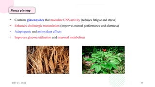 MAY 21, 2026 17
Panax ginseng
• Contains ginsenosides that modulate CNS activity (reduces fatigue and stress)
• Enhances cholinergic transmission (improves mental performance and alertness)
• Adaptogenic and antioxidant effects
• Improves glucose utilisation and neuronal metabolism
 
