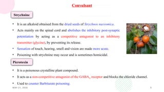 MAY 21, 2026 5
Convulsant
Strychnine
• It is an alkaloid obtained from the dried seeds of Strychnos nuxvomica.
• Acts mainly on the spinal cord and abolishes the inhibitory post-synaptic
potentiation by acting as a competitive antagonist to an inhibitory
transmitter (glycine), by preventing its release.
• Sensation of touch, hearing, smell and vision are made more acute.
• Poisoning with strychnine may occur and is sometimes homicidal.
Picrotoxin
• It is a poisonous crystalline plant compound.
• It acts as a non-competitive antagonist of the GABAA receptor and blocks the chloride channel.
• Used to counter Barbiturate poisoning.
 