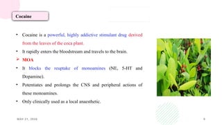 MAY 21, 2026 9
Cocaine
• Cocaine is a powerful, highly addictive stimulant drug derived
from the leaves of the coca plant.
• It rapidly enters the bloodstream and travels to the brain.
 MOA
• It blocks the reuptake of monoamines (NE, 5-HT and
Dopamine).
• Potentiates and prolongs the CNS and peripheral actions of
these monoamines.
• Only clinically used as a local anaesthetic.
 