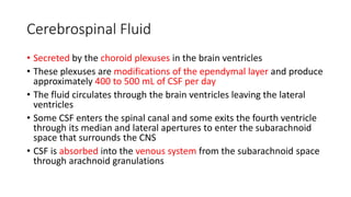 Cerebrospinal Fluid
• Secreted by the choroid plexuses in the brain ventricles
• These plexuses are modifications of the ependymal layer and produce
approximately 400 to 500 mL of CSF per day
• The fluid circulates through the brain ventricles leaving the lateral
ventricles
• Some CSF enters the spinal canal and some exits the fourth ventricle
through its median and lateral apertures to enter the subarachnoid
space that surrounds the CNS
• CSF is absorbed into the venous system from the subarachnoid space
through arachnoid granulations
 