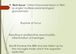  ‘Rich focus’: initial intracranial lesion in TBM;
as single/ multiple parameningeal
granulomata
Rupture of focus
Resulting in proliferative arachnoiditis,
inflammation of meninges
Bacilli traverse the BBB and are taken up by
the microglia inside which the organism
replicates
 