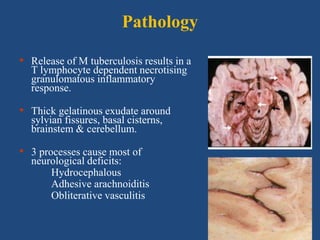 Pathology
• Release of M tuberculosis results in a
T lymphocyte dependent necrotising
granulomatous inflammatory
response.
• Thick gelatinous exudate around
sylvian fissures, basal cisterns,
brainstem & cerebellum.
• 3 processes cause most of
neurological deficits:
Hydrocephalous
Adhesive arachnoiditis
Obliterative vasculitis
 