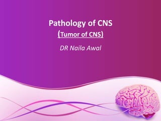 Pathology of CNS
(Tumor of CNS)
DR Naila Awal
 