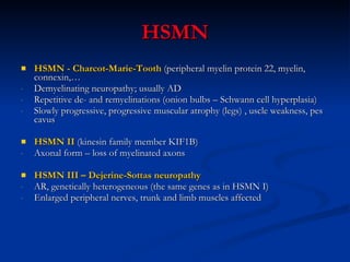 HSMN HSMN - Charcot-Marie-Tooth  (peripheral myelin protein 22, myelin, connexin,… Demyelinating neuropathy; usually AD Repetitive de- and remyelinations (onion bulbs – Schwann cell hyperplasia) Slowly progressive, progressive muscular atrophy (legs) , uscle weakness, pes cavus HSMN II  (kinesin family member KIF1B) Axonal form – loss of myelinated axons HSMN III – Dejerine-Sottas neuropathy AR, genetically heterogeneous (the same genes as in HSMN I)  Enlarged peripheral nerves, trunk and limb muscles affected 