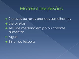  2 cravos ou rosas brancas semelhantes
 2 provetas
 Azul de metileno em pó ou corante
  alimentar
 Água
 Bisturi ou tesoura
 