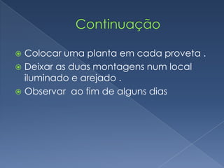 Colocar uma planta em cada proveta .
 Deixar as duas montagens num local
  iluminado e arejado .
 Observar ao fim de alguns dias
 