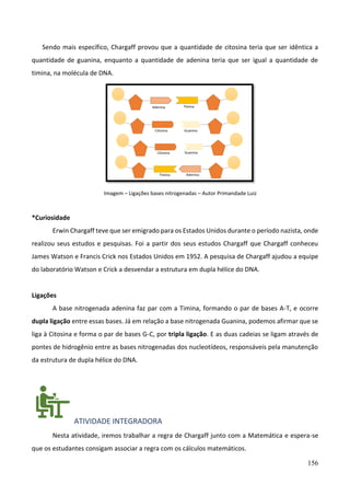 156
Sendo mais específico, Chargaff provou que a quantidade de citosina teria que ser idêntica a
quantidade de guanina, enquanto a quantidade de adenina teria que ser igual a quantidade de
timina, na molécula de DNA.
Imagem – Ligações bases nitrogenadas – Autor Primandade Luiz
*Curiosidade
Erwin Chargaff teve que ser emigrado para os Estados Unidos durante o período nazista, onde
realizou seus estudos e pesquisas. Foi a partir dos seus estudos Chargaff que Chargaff conheceu
James Watson e Francis Crick nos Estados Unidos em 1952. A pesquisa de Chargaff ajudou a equipe
do laboratório Watson e Crick a desvendar a estrutura em dupla hélice do DNA.
Ligações
A base nitrogenada adenina faz par com a Timina, formando o par de bases A-T, e ocorre
dupla ligação entre essas bases. Já em relação a base nitrogenada Guanina, podemos afirmar que se
liga à Citosina e forma o par de bases G-C, por tripla ligação. E as duas cadeias se ligam através de
pontes de hidrogênio entre as bases nitrogenadas dos nucleotídeos, responsáveis pela manutenção
da estrutura de dupla hélice do DNA.
ATIVIDADE INTEGRADORA
Nesta atividade, iremos trabalhar a regra de Chargaff junto com a Matemática e espera-se
que os estudantes consigam associar a regra com os cálculos matemáticos.
 