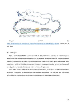 159
Imagem extraída de:
https://wikiciencias.casadasciencias.org/wiki/index.php/Transcri%C3%A7%C3%A3o Acesso em: 10
jun. 2022.
4.2 Tradução
Após a formação do RNAm a partir do molde de DNA, irá iniciar o processo de decodificação da
molécula de RNA, e termos ao final a produção de proteínas. A sequência de três riobonucleotídeos
presentes na molécula de RNAm é denominada códon, e a correspondência que irá encaixar nesta
sequência a partir do RNAt é chamado de anticódon. O código genético dos seres vivos é universal,
ou seja, até mesmo as bactérias apresentam as bases nitrogenadas.
Cada códon poderá codificar um aminoácido, desta maneira, a sequência de códons e anticódons
irá definir a sequência de aminoácidos que produzirá a proteína. Vale ressaltar que um mesmo
aminoácido pode ser codificado por diferentes códons, como mostra a tabela abaixo:
 