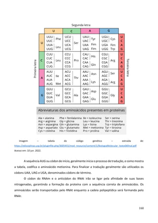 160
Imagem – tabela do código genético – extraída de:
https://edisciplinas.usp.br/pluginfile.php/3005455/mod_resource/content/1/BiologiaMolecular_texto06final.pdf
Acesso em: 10 jun. 2022.
A sequência AUG ou códon de início, geralmente inicia o processo de tradução, e como mostra
a tabela, codifica o aminoácido metionina. Para finalizar a tradução geralmente são utilizados os
códons UAA, UAG e UGA, denominados códons de término.
O códon do RNAm e o anticódon do RNAt irão se ligar pela afinidade de suas bases
nitrogenadas, garantindo a formação da proteína com a sequência correta de aminoácidos. Os
aminoácidos serão transportados pelo RNAt enquanto a cadeia polipeptídica será formanda pelo
RNAr.
 