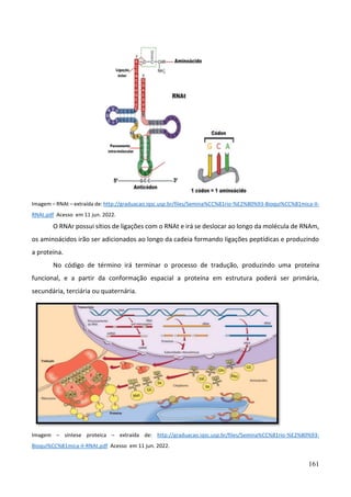 161
Imagem – RNAt – extraída de: http://graduacao.iqsc.usp.br/files/Semina%CC%81rio-%E2%80%93-Bioqui%CC%81mica-II-
RNAt.pdf Acesso em 11 jun. 2022.
O RNAr possui sítios de ligações com o RNAt e irá se deslocar ao longo da molécula de RNAm,
os aminoácidos irão ser adicionados ao longo da cadeia formando ligações peptídicas e produzindo
a proteína.
No código de término irá terminar o processo de tradução, produzindo uma proteína
funcional, e a partir da conformação espacial a proteína em estrutura poderá ser primária,
secundária, terciária ou quaternária.
Imagem – síntese proteica – extraída de: http://graduacao.iqsc.usp.br/files/Semina%CC%81rio-%E2%80%93-
Bioqui%CC%81mica-II-RNAt.pdf Acesso em 11 jun. 2022.
 