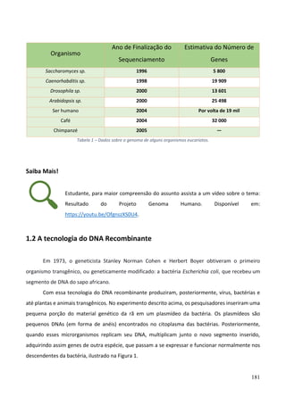 181
Organismo
Ano de Finalização do
Sequenciamento
Estimativa do Número de
Genes
Saccharomyces sp. 1996 5 800
Caenorhabditis sp. 1998 19 909
Drosophila sp. 2000 13 601
Arabidopsis sp. 2000 25 498
Ser humano 2004 Por volta de 19 mil
Café 2004 32 000
Chimpanzé 2005 —
Tabela 1 – Dados sobre o genoma de alguns organismos eucariotos.
Saiba Mais!
Estudante, para maior compreensão do assunto assista a um vídeo sobre o tema:
Resultado do Projeto Genoma Humano. Disponível em:
https://youtu.be/OfgnszXS0U4.
1.2 A tecnologia do DNA Recombinante
Em 1973, o geneticista Stanley Norman Cohen e Herbert Boyer obtiveram o primeiro
organismo transgênico, ou geneticamente modificado: a bactéria Escherichia coli, que recebeu um
segmento de DNA do sapo africano.
Com essa tecnologia do DNA recombinante produziram, posteriormente, vírus, bactérias e
até plantas e animais transgênicos. No experimento descrito acima, os pesquisadores inseriram uma
pequena porção do material genético da rã em um plasmídeo da bactéria. Os plasmídeos são
pequenos DNAs (em forma de anéis) encontrados no citoplasma das bactérias. Posteriormente,
quando esses microrganismos replicam seu DNA, multiplicam junto o novo segmento inserido,
adquirindo assim genes de outra espécie, que passam a se expressar e funcionar normalmente nos
descendentes da bactéria, ilustrado na Figura 1.
 