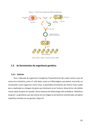 182
Figura 1 - Técnica de produção do DNA recombinante.
Fonte: Cezar e Sezar., Editora Saraiva, 2016.
1.3 As ferramentas da engenharia genética
1.3.1 Vetores
Para a obtenção de organismos transgênicos frequentemente são usados vetores (caso de
certos vírus e bactérias, como a E. coli). Neles, insere-se o DNA exógeno, que poderá, mais tarde, ser
incorporado a outro organismo. Como vimos, os plasmídeos de bactérias são vetores muito usados
para a duplicação ou clonagem de genes que interessam ao ser humano. Dessa forma, são obtidas
muitas cópias do gene em questão. Várias empresas de biotecnologia têm verdadeiras “bibliotecas
de genes”, ou genetecas, que são culturas de vírus (fagos) ou de bactérias recombinados com genes
específicos inseridos em seu genoma. (Figura 2).
 