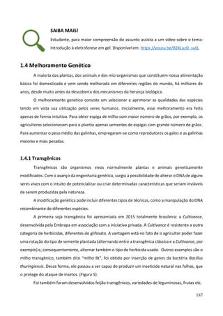 187
SAIBA MAIS!
Estudante, para maior compreensão do assunto assista a um vídeo sobre o tema:
Introdução à eletroforese em gel. Disponível em: https://youtu.be/B2KLuzD_suQ.
1.4 Melhoramento Genético
A maioria das plantas, dos animais e dos microrganismos que constituem nossa alimentação
básica foi domesticada e vem sendo melhorada em diferentes regiões do mundo, há milhares de
anos, desde muito antes da descoberta dos mecanismos da herança biológica.
O melhoramento genético consiste em selecionar e aprimorar as qualidades das espécies
tendo em vista sua utilização pelos seres humanos. Inicialmente, esse melhoramento era feito
apenas de forma intuitiva. Para obter espiga de milho com maior número de grãos, por exemplo, os
agricultores selecionavam para o plantio apenas sementes de espigas com grande número de grãos.
Para aumentar o peso médio das galinhas, empregaram-se como reprodutores os galos e as galinhas
maiores e mais pesadas.
1.4.1 Transgênicos
Transgênicos são organismos vivos normalmente plantas e animais geneticamente
modificados. Com o avanço da engenharia genética, surgiu a possibilidade de alterar o DNA de alguns
seres vivos com o intuito de potencializar ou criar determinadas características que seriam inviáveis
de serem produzidas pela natureza.
A modificação genética pode incluir diferentes tipos de técnicas, como a manipulação do DNA
recombinante de diferentes espécies.
A primeira soja transgênica foi apresentada em 2015 totalmente brasileira: a Cultivance,
desenvolvida pela Embrapa em associação com a iniciativa privada. A Cultivance é resistente a outra
categoria de herbicidas, diferentes do glifosato. A vantagem está no fato de o agricultor poder fazer
uma rotação do tipo de semente plantada (alternando entre a transgênica clássica e a Cultivance, por
exemplo) e, consequentemente, alternar também o tipo de herbicida usado. Outros exemplos são o
milho transgênico, também dito “milho Bt”, foi obtido por inserção de genes da bactéria Bacillus
thuringiensis. Dessa forma, ele passou a ser capaz de produzir um inseticida natural nas folhas, que
o protege do ataque de insetos. (Figura 5).
Foi também foram desenvolvidos feijão transgênicos, variedades de leguminosas, frutas etc.
 