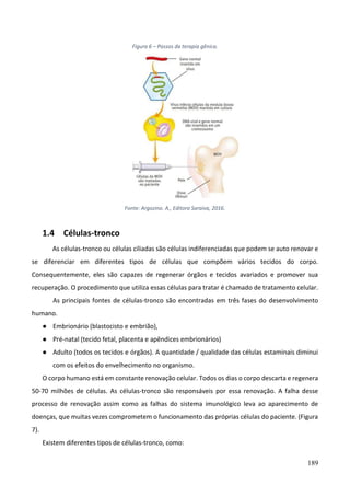189
Figura 6 – Passos da terapia gênica.
Fonte: Argozino. A., Editora Saraiva, 2016.
1.4 Células-tronco
As células-tronco ou células ciliadas são células indiferenciadas que podem se auto renovar e
se diferenciar em diferentes tipos de células que compõem vários tecidos do corpo.
Consequentemente, eles são capazes de regenerar órgãos e tecidos avariados e promover sua
recuperação. O procedimento que utiliza essas células para tratar é chamado de tratamento celular.
As principais fontes de células-tronco são encontradas em três fases do desenvolvimento
humano.
● Embrionário (blastocisto e embrião),
● Pré-natal (tecido fetal, placenta e apêndices embrionários)
● Adulto (todos os tecidos e órgãos). A quantidade / qualidade das células estaminais diminui
com os efeitos do envelhecimento no organismo.
O corpo humano está em constante renovação celular. Todos os dias o corpo descarta e regenera
50-70 milhões de células. As células-tronco são responsáveis por essa renovação. A falha desse
processo de renovação assim como as falhas do sistema imunológico leva ao aparecimento de
doenças, que muitas vezes comprometem o funcionamento das próprias células do paciente. (Figura
7).
Existem diferentes tipos de células-tronco, como:
 