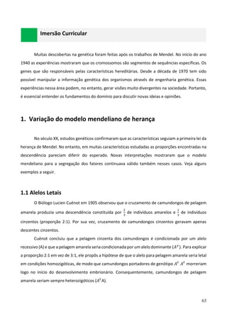 63
Imersão Curricular
Muitas descobertas na genética foram feitas após os trabalhos de Mendel. No início do ano
1940 as experiências mostraram que os cromossomos são segmentos de sequências específicas. Os
genes que são responsáveis pelas características hereditárias. Desde a década de 1970 tem sido
possível manipular a informação genética dos organismos através de engenharia genética. Essas
experiências nessa área podem, no entanto, gerar visões muito divergentes na sociedade. Portanto,
é essencial entender os fundamentos do domínio para discutir novas ideias e opiniões.
1. Variação do modelo mendeliano de herança
No século XX, estudos genéticos confirmaram que as características seguiam a primeira lei da
herança de Mendel. No entanto, em muitas características estudadas as proporções encontradas na
descendência pareciam diferir do esperado. Novas interpretações mostraram que o modelo
mendeliano para a segregação dos fatores continuava válido também nesses casos. Veja alguns
exemplos a seguir.
1.1 Alelos Letais
O Biólogo Lucien Cuénot em 1905 observou que o cruzamento de camundongos de pelagem
amarela produzia uma descendência constituída por
2
3
de indivíduos amarelos e
1
3
de indivíduos
cinzentos (proporção 2:1). Por sua vez, cruzamento de camundongos cinzentos geravam apenas
descentes cinzentos.
Cuénot concluiu que a pelagem cinzenta dos camundongos é condicionada por um alelo
recessivo (A) e que a pelagem amarela seria condicionada por um alelo dominante (𝐴𝑦
). Para explicar
a proporção 2:1 em vez de 3:1, ele propôs a hipótese de que o alelo para pelagem amarela seria letal
em condições homozigóticas, de modo que camundongos portadores de genótipo 𝐴𝑌
𝐴𝑌
morreriam
logo no início do desenvolvimento embrionário. Consequentemente, camundongos de pelagem
amarela seriam sempre heterozigóticos (𝐴𝑌
A).
 