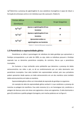 67
𝐴𝑔𝑁
determina a presença do aglutinogênio N, essa substância imunogênica é capaz de induzir a
formação de anticorpos contra si em indivíduos que não a possuem. (Tabela 3).
Formar alélicas
(Genótipos)
Fenótipos Grupo Sanguíneo
𝑨𝒈𝑴
𝑨𝒈𝑴
Apenas o aglutinogênio M nas
hemácias
M
𝑨𝒈𝑵
𝑨𝒈𝑵
Apenas o aglutinogênio N nas
hemácias
N
𝑨𝒈𝑴
𝑨𝒈𝑵
Apresentam ambos os
aglutinogênios nas hemácias
MN
Tabela 3 – Sistema MN grupos sanguíneos.
1.5 Penetrância e expressividade gênica
Penetrância se refere à porcentagem de indivíduos de dado genótipo que apresentam o
fenótipo correspondente a um valor de 100%, ou seja, todos os indivíduos possuem o fenótipo
esperado isso se denomina penetrância completa, do contrário, fala-se que a penetrância
incompleta.
Em humanos o traço conhecido como polidactilia que denomina a presença de dedos
extranumerários nas mãos e pés, se dá ao condicionamento por um alelo dominante com
penetrância incompleta. Esse alelo também tem expressividade variável, pois seus portadores
podem apresentar desde apenas um dedo extranumerário em um dos membros como também
dedos extranumerários em todos os membros.
Expressividade gênica refere-se à intensidade de expressão de genótipo no organismo.
Um exemplo de alelo de expressividade gênica variável é o que condiciona a presença de
manchas na pelagem de mamíferos. Esse alelo recessivo (s) e, em homozigose (ss), condiciona a
pelagem de diversas cores com áreas com pigmentos e áreas sem pigmentos. O alelo dominante e
gene (S) condiciona o padrão pelagem homogenia, sem machas podemos ver na Figura 4.
 