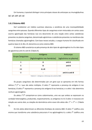 69
Em humanos, é possível distinguir cinco principais classes de anticorpos ou imunoglobulinas
IgG, IgA, IgM, IgD, IgE.
1.6.1 Sistema ABO
Karl Landsteiner um médico austríaco observou a existência de uma incompatibilidade
sanguínea entre pessoas. Quando diferentes tipos de sanguíneos eram misturados em certos casos
ocorria aglutinação das hemácias isso era decorrente de uma reação entre certas substâncias
presentes no plasma sanguíneo, denominado aglutininas e substâncias presentes na membrana das
hemácias chamadas aglutinogênio. Com base nesses estudos, o sangue humano foi classificado em
quatros tipos A, B, AB, e O, denomina-se como sistema ABO.
O sistema ABO caracteriza-se pela presença de dois tipos de aglutinogênio A e B e dois tipos
de aglutininas anti-A e anti-B. (Tabela 4).
Grupo Sanguíneo
Antígeno
(Aglutinogênio nas hemácias)
Anticorpo
(aglutinina no plasma)
A A anti-A
B B anti-B
AB A e B -
O - anti-A e anti-B
Tabela 4 – Antígeno e Anticorpo do sistema ABO.
Os grupos sanguíneos são determinados por um gene que se apresenta em três formas
alélicas 𝐼𝐴
,𝐼𝐵
e i que são alelos múltiplos. O alelo 𝐼𝐴
representa a presença do antígeno A nas
hemácias; O alelo 𝐼𝐵
representa a presença do antígeno B nas hemácias; e o alelo i não determina
nenhum aglutinogênio.
Os alelos 𝐼𝐴
𝐼𝐵
comportam-se como codominantes, uma vez que ambos se expressam na
condição heterozigótica, produzindo, respectivamente, os antígenos A e B. O alelo i é recessivo em
relação aos outros dois; as relações de dominância entre esses três alelos são: 𝐼𝐴
= 𝐼𝐵
> i. (Tabela
5).
Os três alelos determinam os diferentes fenótipos do sistema ABO. O alelo 𝐼𝐴
codifica uma
enzima que transforma uma substância precursora H no aglutinogênio A; o alelo 𝐼𝐵
codifica uma
 