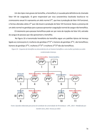 78
Um dos tipos mais graves de hemofilia, a hemofilia A, é causada pela deficiência do chamado
fator VIII de coagulação. O gene responsável por essa característica localizada localiza-se no
cromossomo sexual X e apresenta um alelo normal 𝑋𝐻
, que leva à produção de fator VIII funcional,
e formas alteradas alelos 𝑋ℎ
que não levam à produção de fator VIII funcional. Basta a presença de
um alelo normal no genótipo para a pessoa apresentar coagulação normal do sangue não hemofílica.
O tratamento para pessoas hemofílicas pode ser por meio de injeções de fator VIII, extraído
do sangue de pessoas que não apresentam a hemofilia.
Na Figura 10 a transmissão hereditária da hemofilia segue uns padrões típicos de herança
ligada ao cromossomo X, mulheres de genótipo 𝑋ℎ
𝑋ℎ
e homens de genótipo 𝑋ℎ
𝑌, são hemofílicos;
homens de genótipo 𝑋𝐻
𝑌, mulheres 𝑋𝐻
𝑋𝐻
e mulheres 𝑋𝐻
𝑋ℎ
não são hemofílicos.
Figura 10 – Esquema da hemofilia nos descendentes de um homem hemofílico e uma mulher portadora ao alelo
condicionada à doença.
Fonte: Questão elaborada para prova de vestibular da universidade de Pernambuco - UPE., 2013 – Modificada por
Gondim.Sara.,2022. Acesso jun.2022.
 
