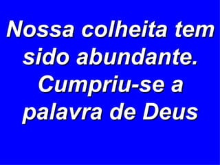 Nossa colheita tem sido abundante. Cumpriu-se a palavra de Deus 