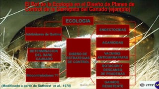 El Rol de la Ecología en el Diseño de Planes de
Control de la Garrapata del Ganado (ejemplo)
ECOLOGIA
DETERMINACION
DEL DAÑO
CAUSADO
DISEÑO DE
ESTRATEGIAS
DE CONTROL
ENDECTOCIDAS
ACARICIDAS
ROTACION Y
DESCANSO
DE PRADERAS
VACUNAS
ANTIGARRAPATAS
GANADO
RESISTENTE
Biocontroladores ??
(Modificado a partir de Sutherst et al., 1979) (Benavides, 2015©)
Inhibidores de Quitina
 