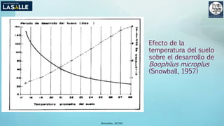 Efecto de la
temperatura del suelo
sobre el desarrollo de
Boophilus microplus
(Snowball, 1957)
(Benavides, 2015©)
 