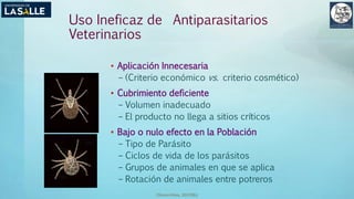 (Benavides, 2015©)
Uso Ineficaz de Antiparasitarios
Veterinarios
• Aplicación Innecesaria
– (Criterio económico vs. criterio cosmético)
• Cubrimiento deficiente
– Volumen inadecuado
– El producto no llega a sitios críticos
• Bajo o nulo efecto en la Población
– Tipo de Parásito
– Ciclos de vida de los parásitos
– Grupos de animales en que se aplica
– Rotación de animales entre potreros
 