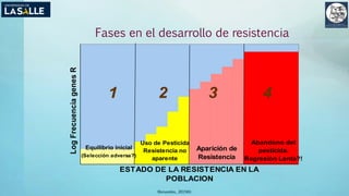 Fases en el desarrollo de resistencia
(Benavides, 2015©)
ESTADO DE LA RESISTENCIA EN LA
POBLACION
LogFrecuenciagenesR
Equilibrio inicial
(Selección adversa?)
Uso de Pesticida
Resistencia no
aparente
1 2 3 4
Aparición de
Resistencia
Abandono del
pesticida.
Regresión Lenta?!
 
